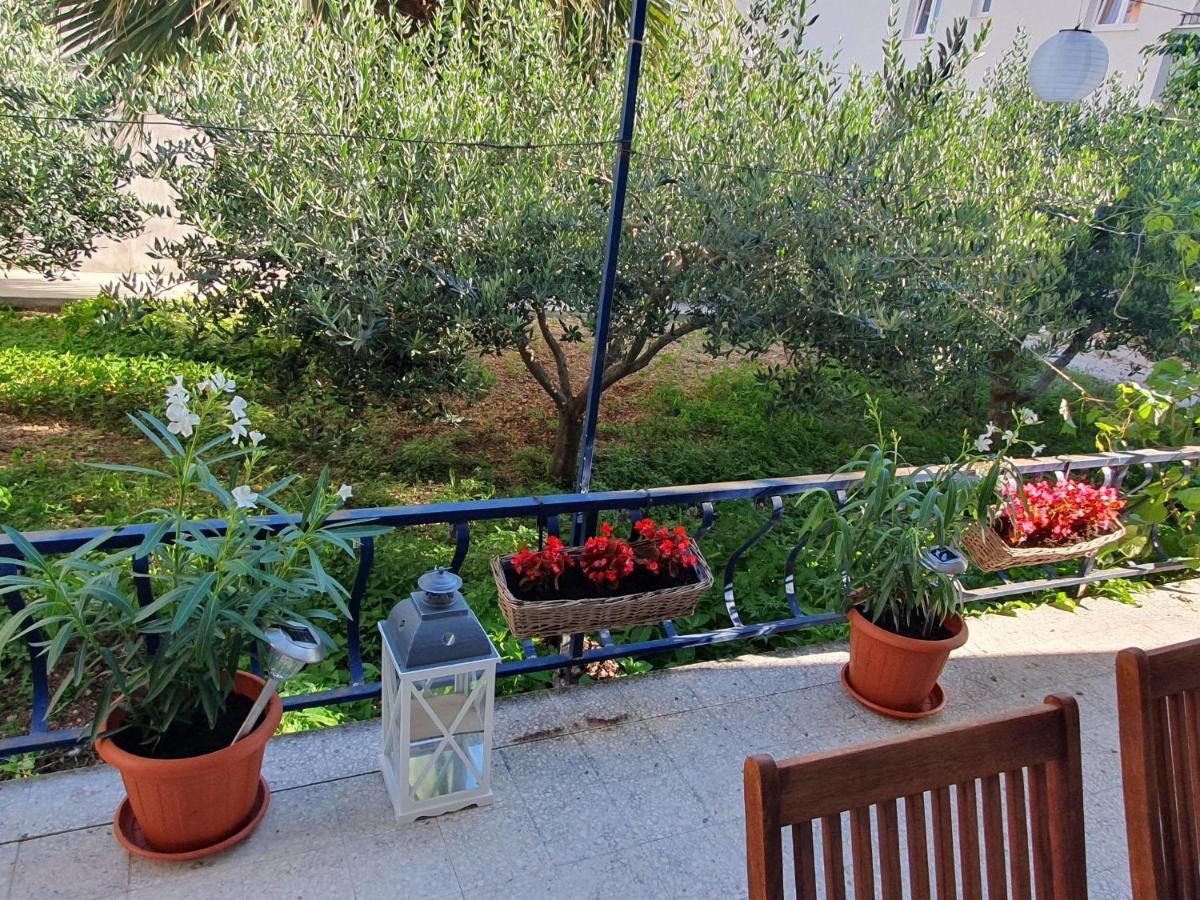 טרוגיר Apartment Lana מראה חיצוני תמונה